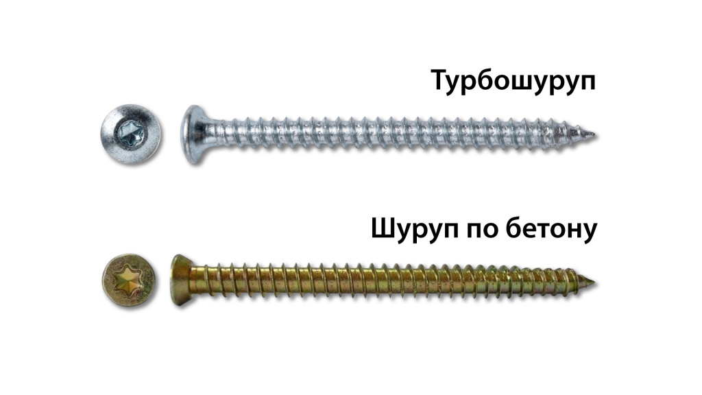scale_2400.jpg
